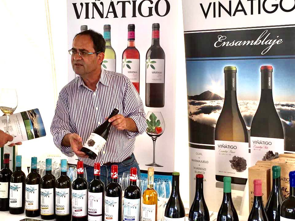 CATA DE VINOS CON BODEGAS VIÑÁTIGO