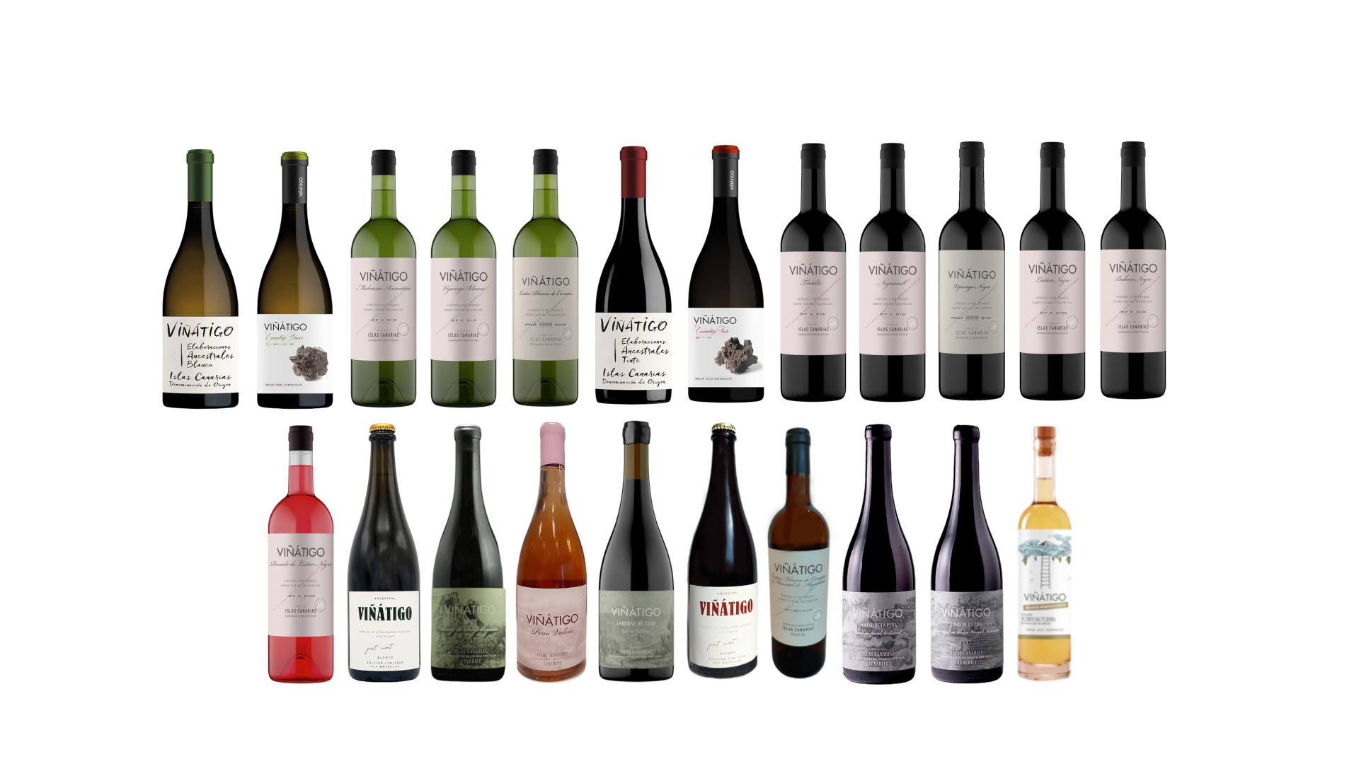 Bodegas Viñátigo
