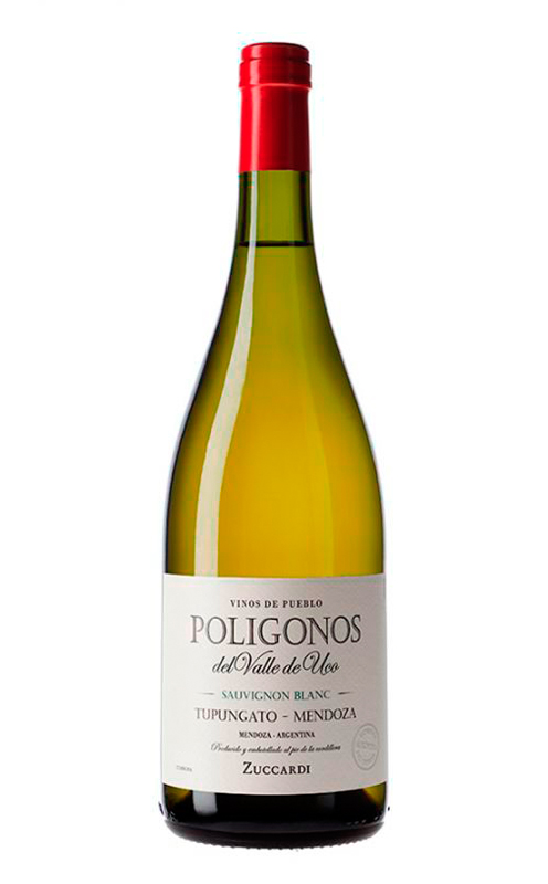  Zuccardi Polígonos Tupungato Sauvignon Blanc (75 cl, 2022)